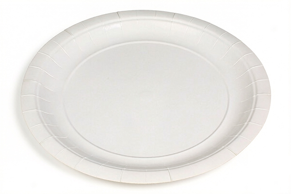 9" Paper plates