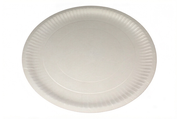 13" Paper plates